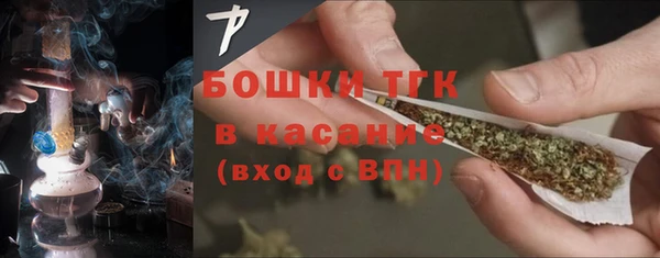 дживик Горняк