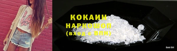 дживик Горняк