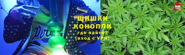 дживик Горняк