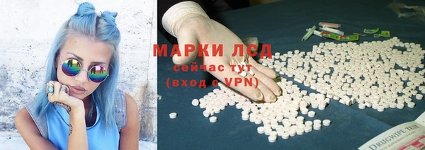 PSILOCYBIN Горно-Алтайск