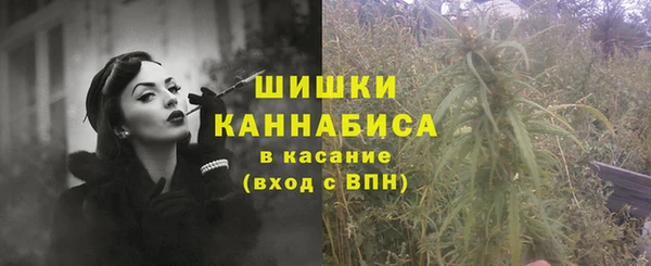 дживик Горняк