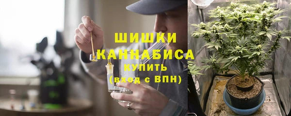 дживик Горняк