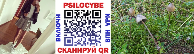 MEGA зеркало  где найти   Северск  Псилоцибиновые грибы прущие грибы 